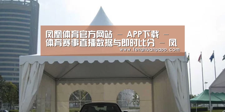 案例标题八
