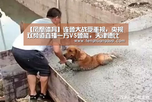 【凤凰体育】连鲁大战受重视，央视双频道直播一方VS鲁能，天津德比全球直播