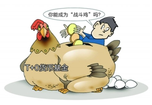 多特宣布签约拜仁U19天才射手 下一个胡梅尔斯?:凤凰体育(图2) 凤凰体育