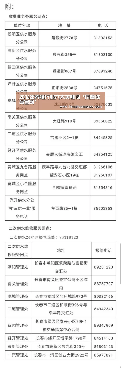凤凰体育app下载