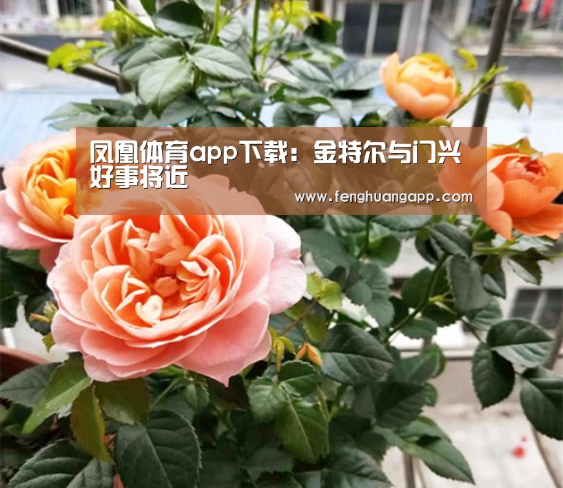 凤凰体育app下载