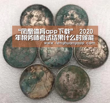 “凤凰体育app下载”
2020年税务师考试结果什么时候能查?查询网址是什么?(图3) 凤凰体育app下载