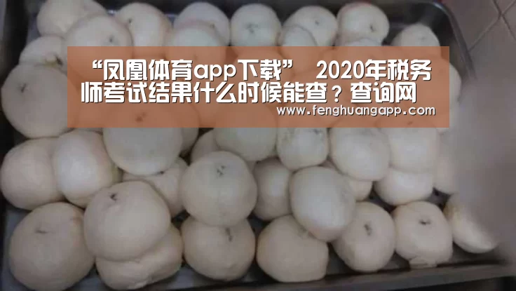 “凤凰体育app下载”
2020年税务师考试结果什么时候能查?查询网址是什么?(图2) 凤凰体育