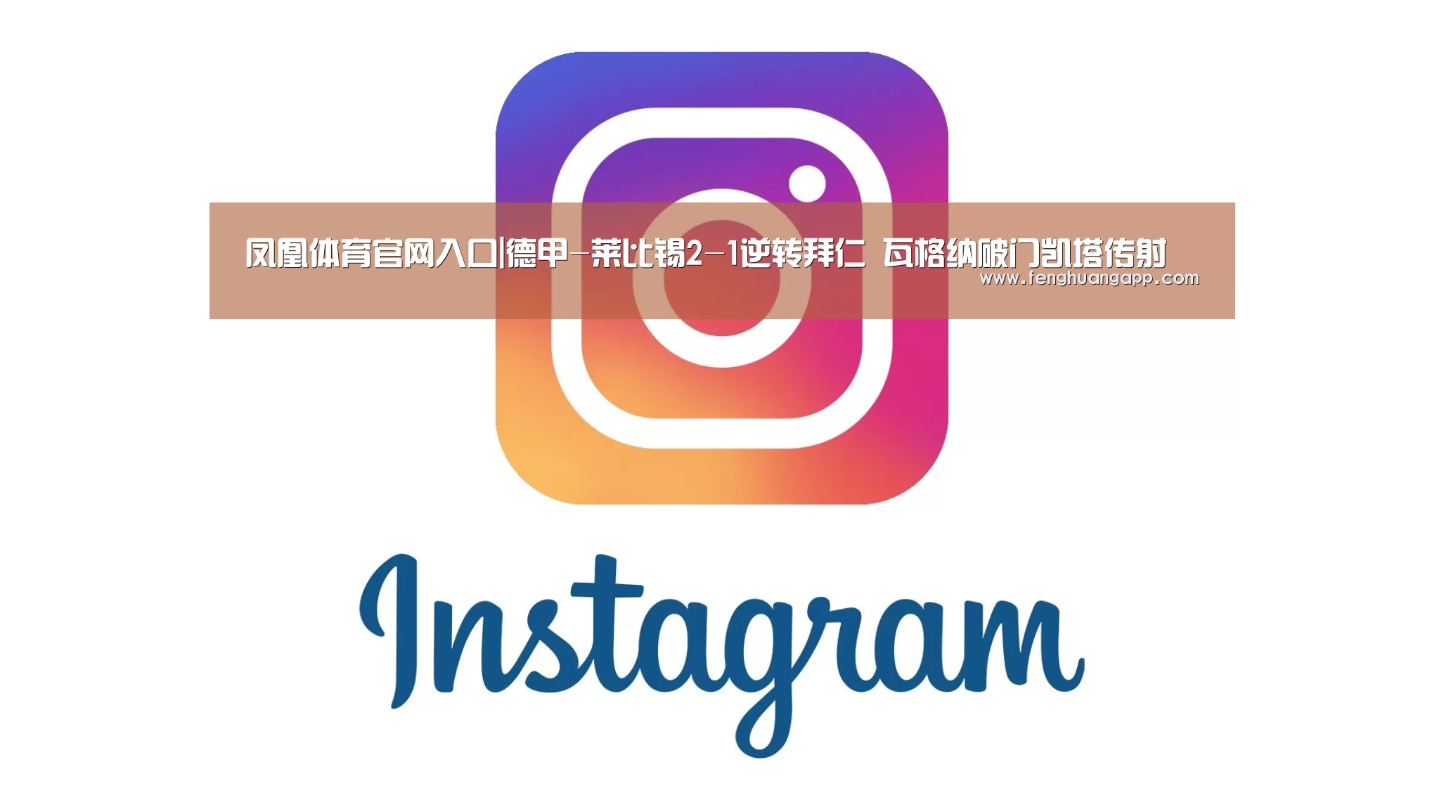 凤凰体育官网