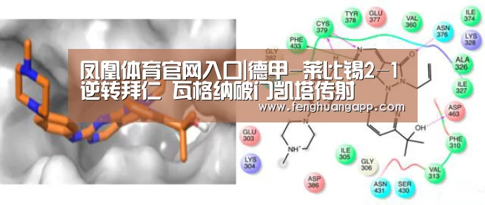 凤凰体育