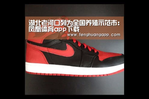 湖北老河口列为全国养殖示范市:凤凰体育app下载(图1) 凤凰体育