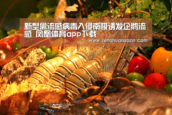 新型禽流感病毒入侵南极诱发企鹅流感_凤凰体育app下载(图1) 凤凰体育app下载