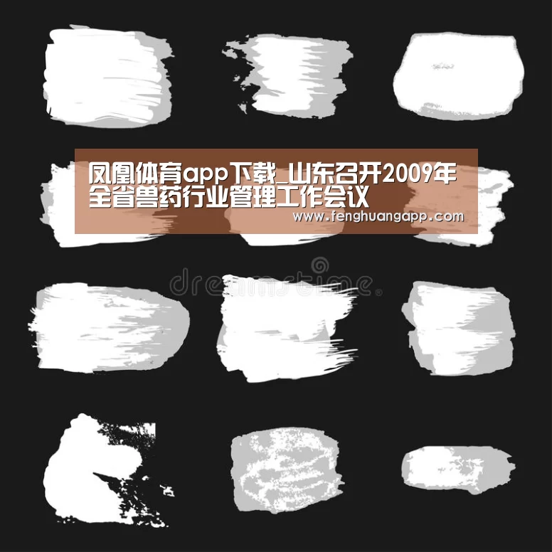 凤凰体育app下载_山东召开2009年全省兽药行业管理工作会议(图2) 凤凰体育