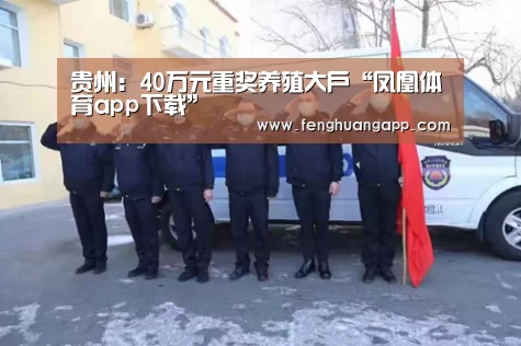 凤凰体育