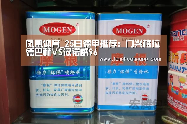 凤凰体育_25日德甲推荐:门兴格拉德巴赫VS汉诺威96(图2) 凤凰体育