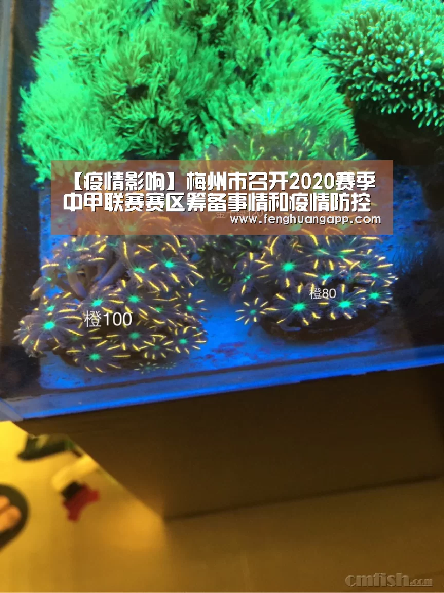 【疫情影响】梅州市召开2020赛季中甲联赛赛区筹备事情和疫情防控事情集会(初定9月至11月举行 将接纳分赛区分阶段方式):凤凰体育(图1) 凤凰体育官网入口